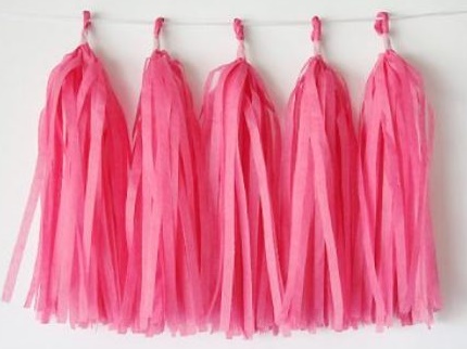 Hot Pink Tissue Tassel Garland
